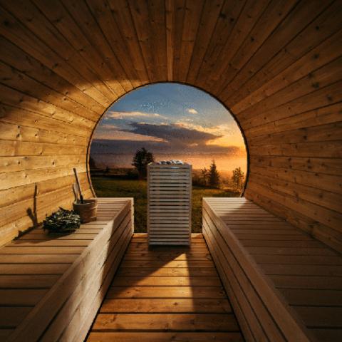 CORE Series Sauna Heater, Thermo-Aspen Wood Exterior, 6.5kW, Standard Mount
