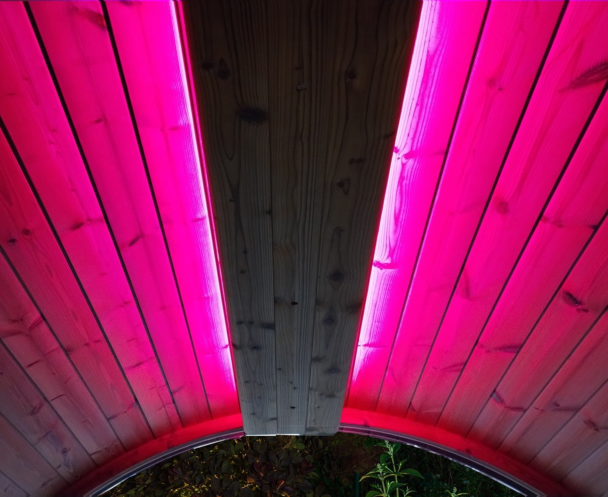 SaunaLife EMOOD Color LED Lighting for ERGO Sauna (SL-EMOOD)