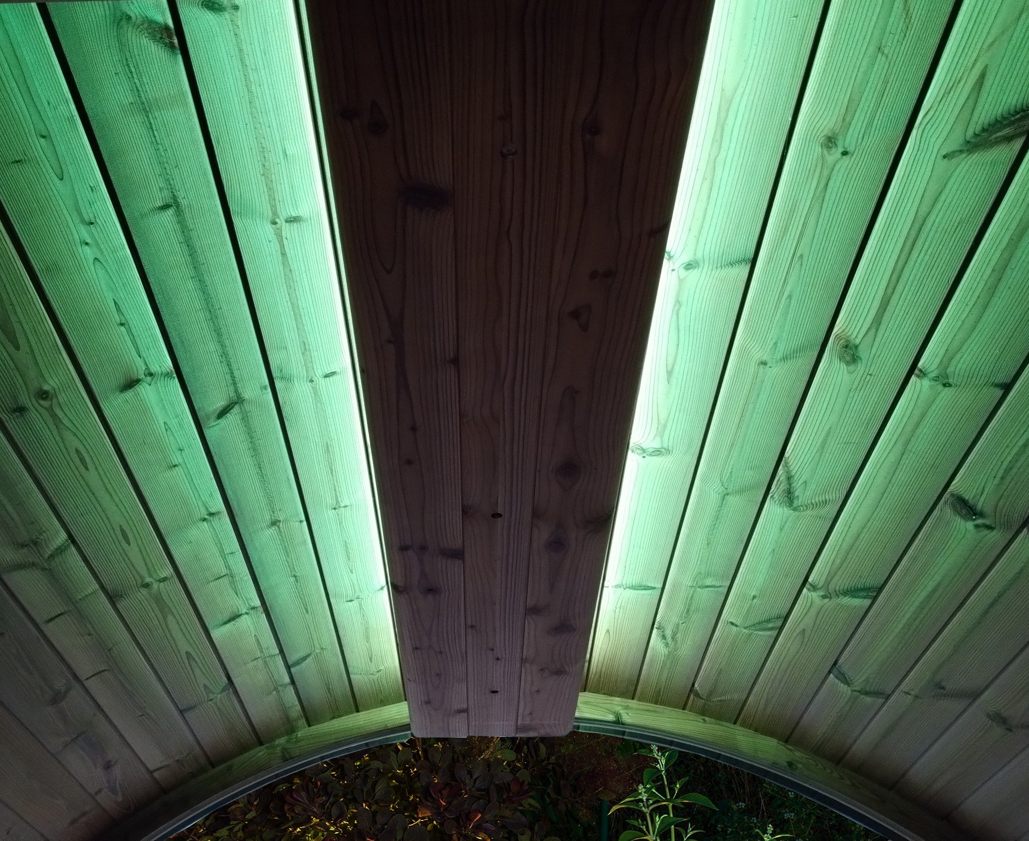 SaunaLife EMOOD Color LED Lighting for ERGO Sauna (SL-EMOOD)