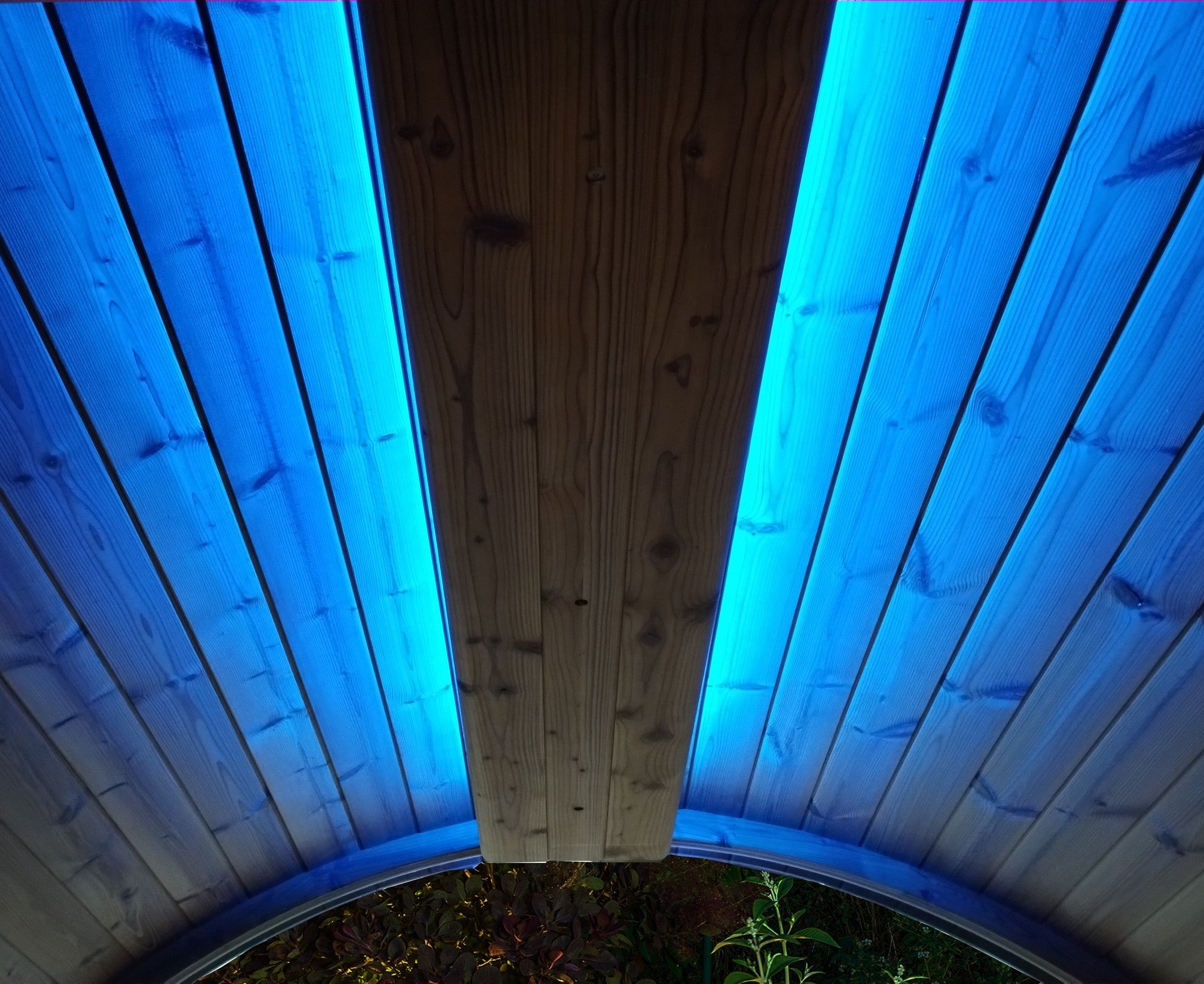 SaunaLife EMOOD Color LED Lighting for ERGO Sauna (SL-EMOOD)