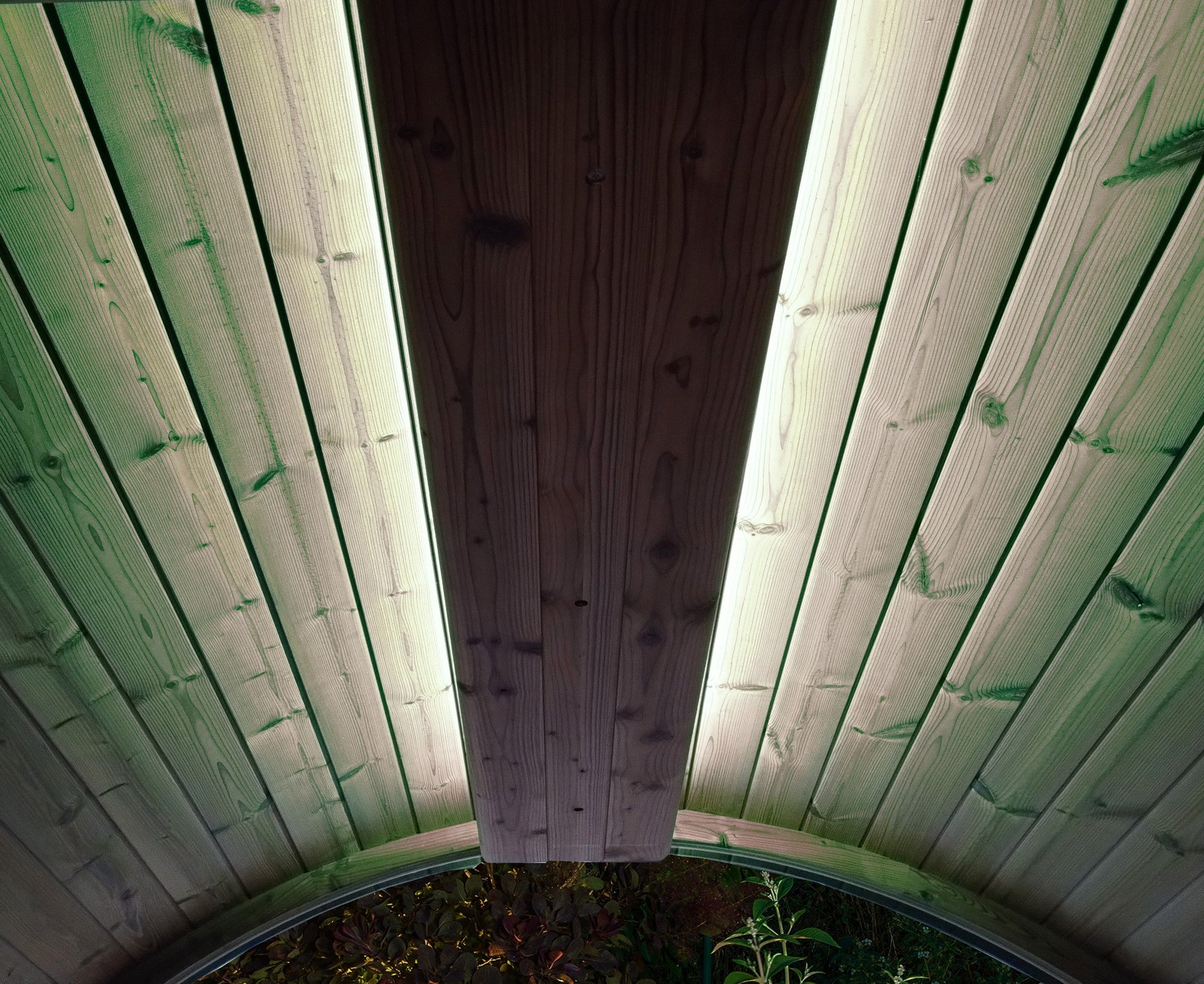 SaunaLife EMOOD Color LED Lighting for ERGO Sauna (SL-EMOOD)