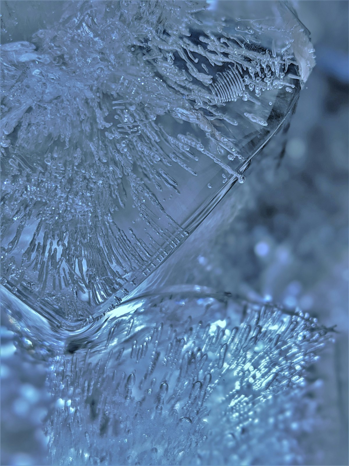 Cold Plunge Filters