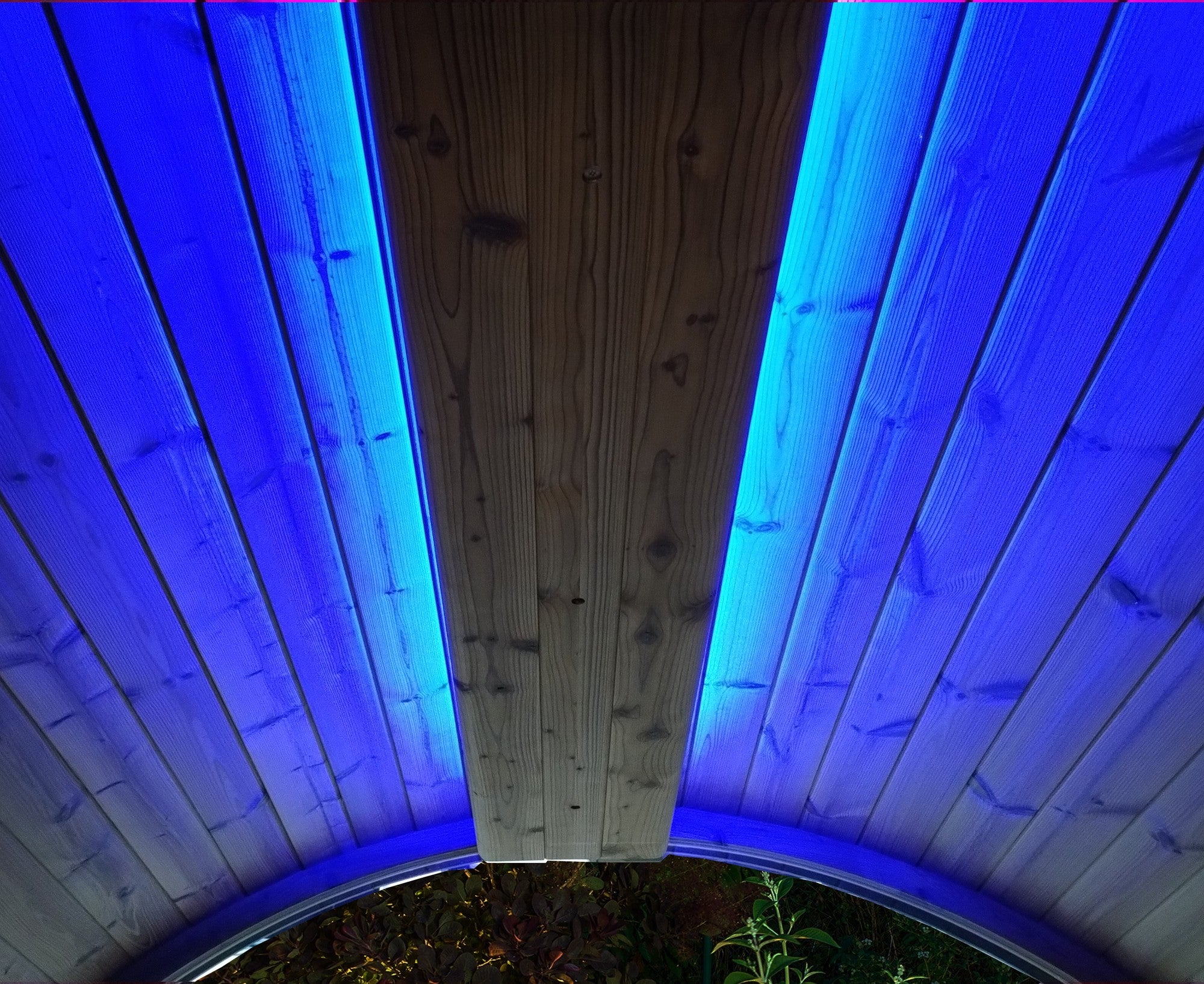 SaunaLife EMOOD Color LED Lighting for ERGO Sauna (SL-EMOOD)