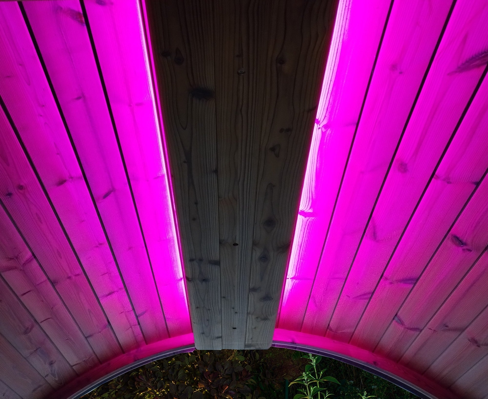 SaunaLife EMOOD Color LED Lighting for ERGO Sauna (SL-EMOOD)