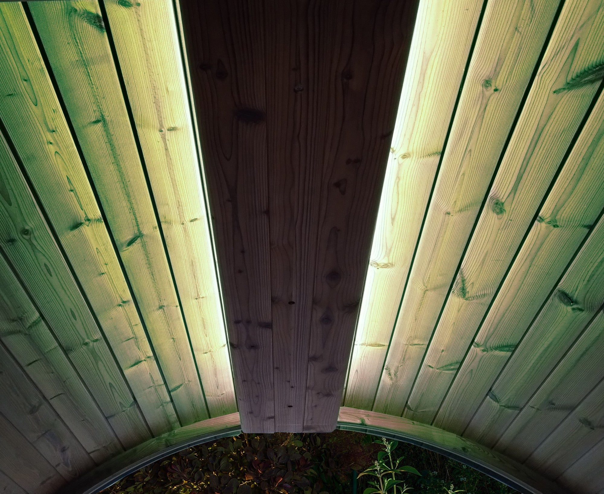 SaunaLife EMOOD Color LED Lighting for ERGO Sauna (SL-EMOOD)